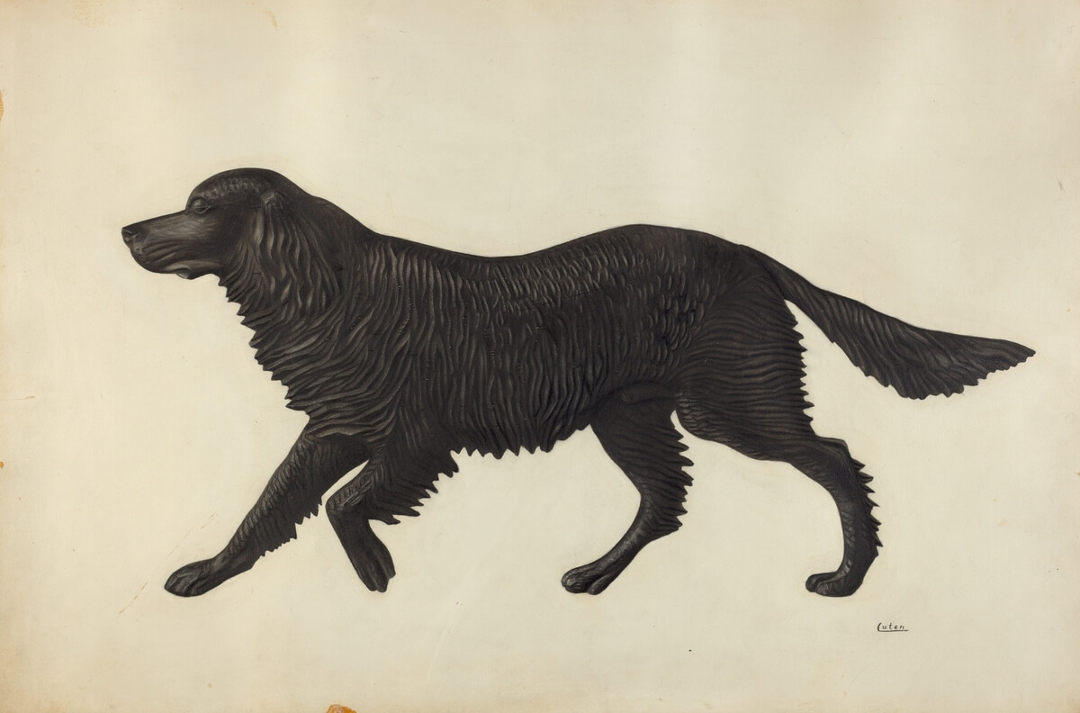 Black Dog